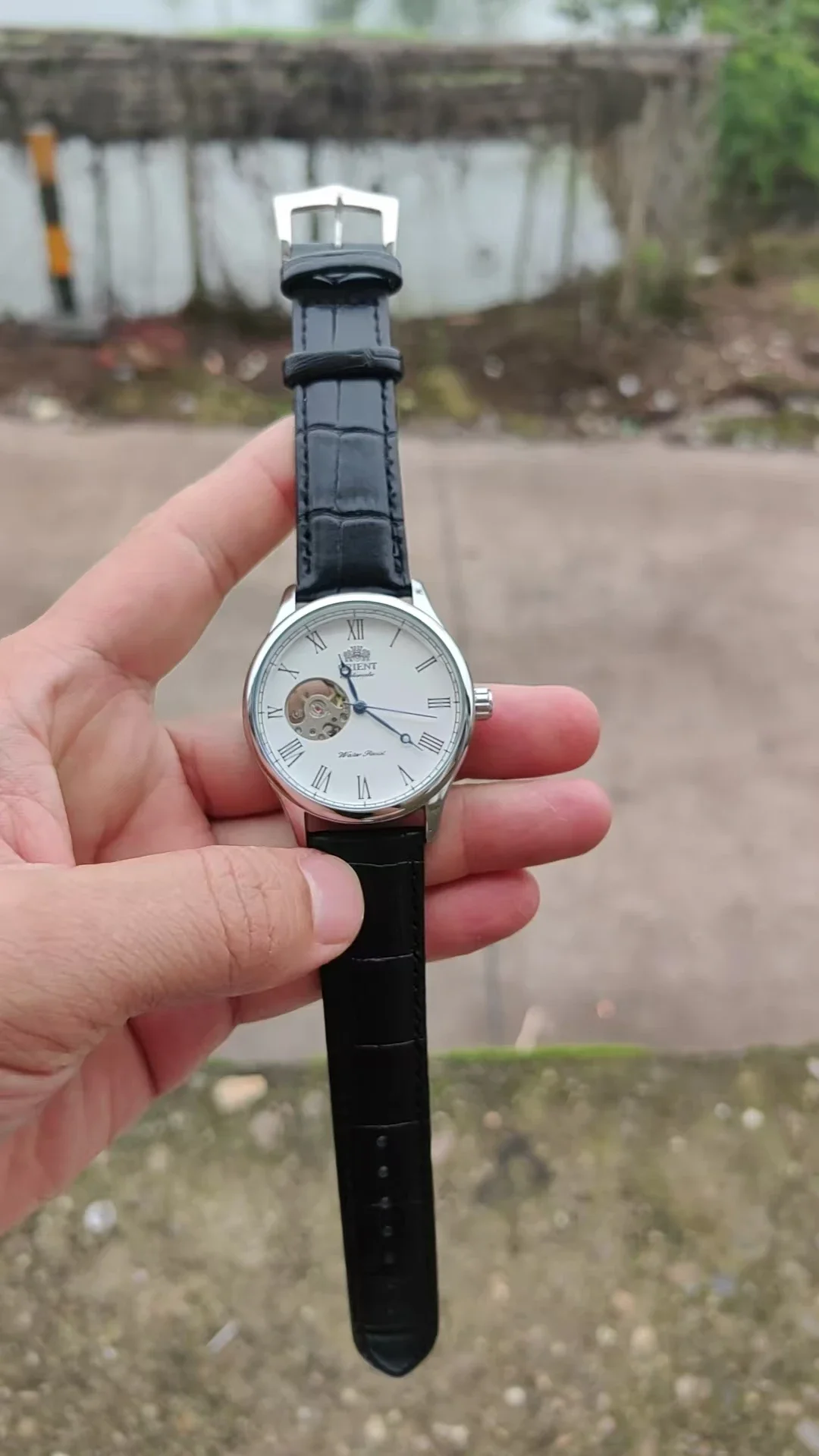 DFDG Mechanische Skelett-Uhr m – Seiko Watch Presage Bewertung und Preis